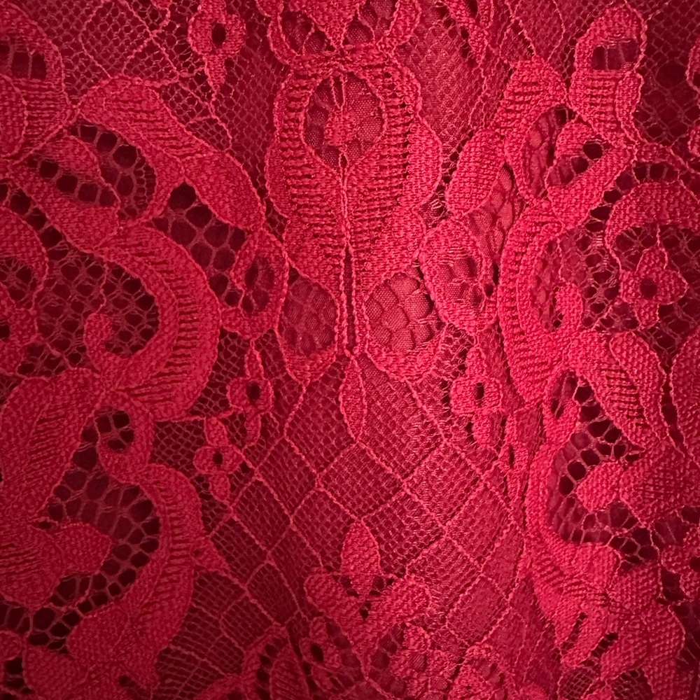 BB Dakota Lace Dress in Deep Red - Picture 2 of 4